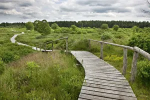 Fens: High Fens landscape
