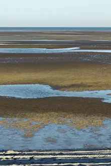 Cortez: High and Low Tide (2 of 2)