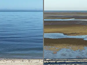 Composite: High and Low Tides