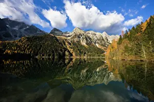 Larix: The high mountains of the Rieserferner Alps