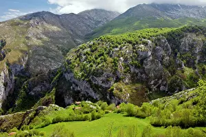 Calcareous: High pastures and barns (invernales)