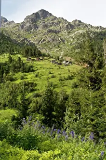 Pontic: High Pastures (Yaylas) and forest above Barhal at