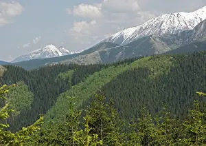 Tatra: High Tatra mountains, south of Zakopane