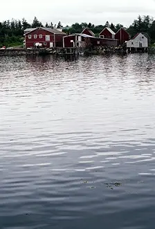 Docks: High Tide, Bay of Fundy