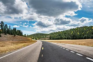 Highway: Highway through forest area with cloudy sky, North