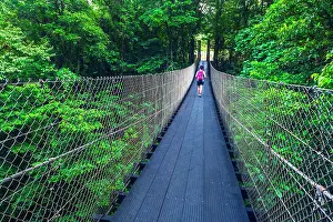 Bridge: Hiker on the Danta Bridge, Arenal Volcano National Park