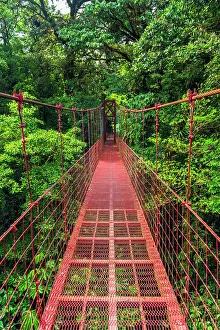 Bridge: Hikers on a red suspension bridge, Monte Verde Cloud Forest