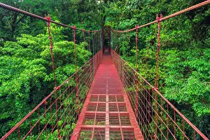 Bridge: Hikers on a red suspension bridge, Monte Verde Cloud Forest