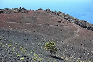 200722: Hikers on the way from San Antonio Volcano to Teneguia