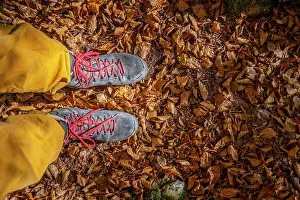 Soil: Hiking boots on forest floor, in autumn, near Scharnitz