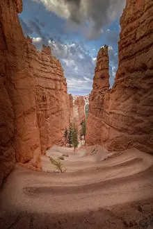 Walkway: Hiking trail into Bryce Canyon, Bryce Canyon National Park