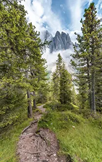 Geisler: Hiking trail in the forest, behind Sass Rigais