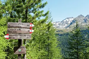 Direction: Hiking trail with signpost, Arthur-Hartdegen-Weg