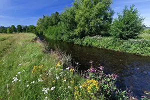 Riverbanks: Hill Stream - showing late summer vegetation