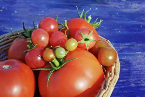 Picking: Hills of central Serbia. Heirloom and hybrid