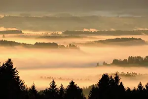 Foothills: Hilly landscape with morning fog, Lechtal, view