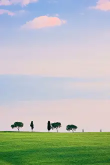 Cypresses: Hilly landscape with wheat fields and cypresses