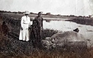 Natives: Hippopotamus shot beside the Nile, old postcard