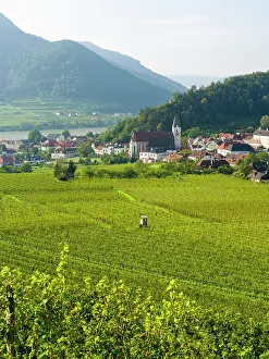 Located: Historic village Spitz located in wine-growing area