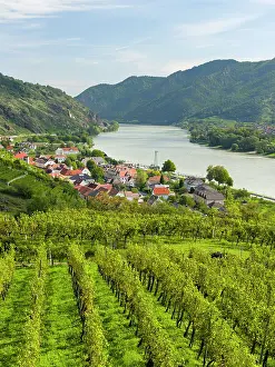 Located: Historic village Spitz located in wine-growing area