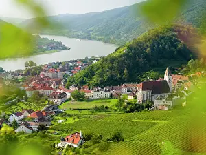 Located: Historic village Spitz located in wine-growing area