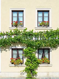 Located: Historic village Unterloiben located in wine-growing