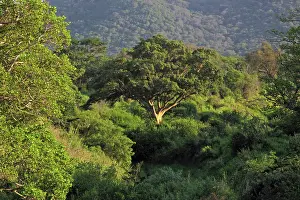 Hluhluwe: Hluhluwe National Park