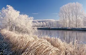 Geogrpahy: Hoar-Frost covering plants and trees by river