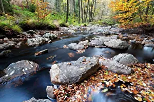 Luik: Ho?gne river in autumn