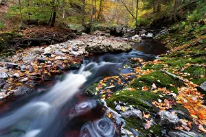 Luik: Ho?gne river in autumn