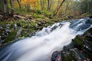 Luik: Ho?gne river in autumn