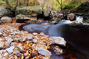 Luik: Ho?gne river in autumn
