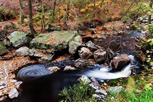 Luik: Ho?gne river in autumn