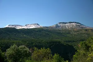 Wright: Hogsback, Eastern Cape, Amatole Mountains