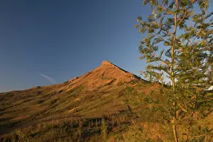 Wright: Hogsback, Eastern Cape, Amatole Mountains