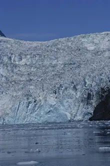 Fjords: Holgate Glacier