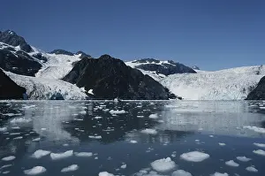 Fjords: Holman and Holgate Glaciers