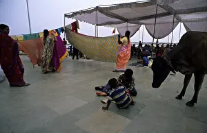 Uttar: Holy cow and children in the streets of Varanaci