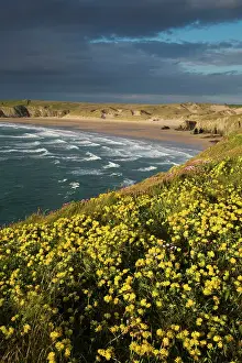Cost: Holywell Bay - Spring