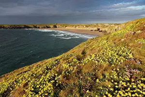Cost: Holywell Bay - Spring