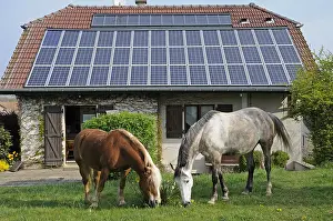 Cell: Home Solar Roof maintaining the lawn and Horses France