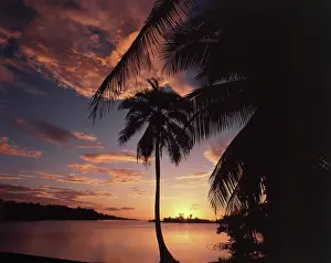 Roatan: Honduras, Bay Islands, Roatan, Anthony's