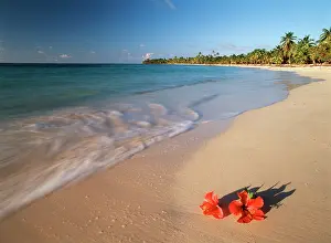 Roatan: Honduras, Roatan, Tabyana Beach, Tropical