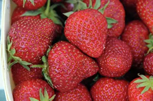 Strawberries: Honeoye Strawberries