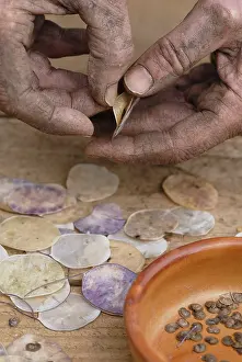 Lunaria: Honesty