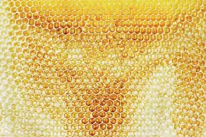 Geometrical: Honeycomb