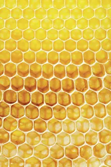 Geometrical: Honeycomb