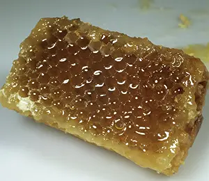 Comb: Honeycomb