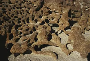 Oxidized: Honeycomb Weathering