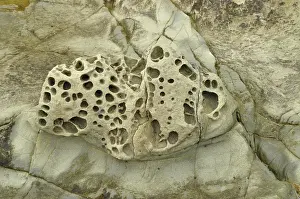 Tafoni: Honeycomb Weathering